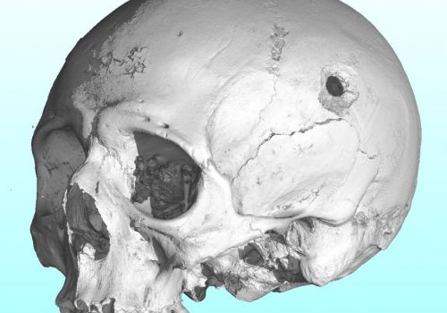 Scientists from CEITEC BUT also use the microCT to investigate skull injuries