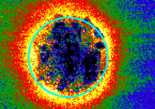 Limits of Babinet's Principle in Plasmonics Explored Team from CEITEC. As the First in the World