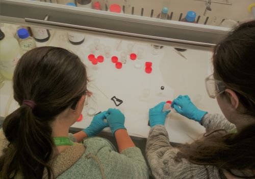 BUT Juniors Tried What It Is Like to Be a Real Scientist at CEITEC