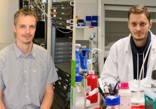 Two Scientists from CEITEC Masaryk University Received ERC-CZ Grants. They Will Focus on Infections