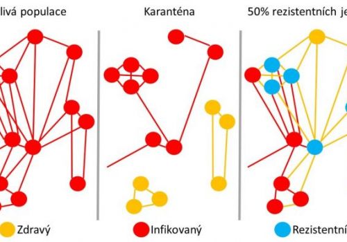 Existují lidé přirozeně odolní vůči COVID-19? Odpověď by pomohla řešit epidemii