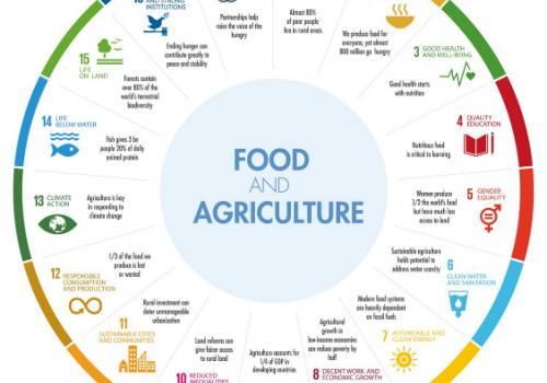 Agriculture and Food Production Must Become More Sustainable