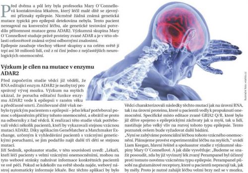 Vědci z CEITEC odhalili důležité souvislosti vzácné formy epilepsie