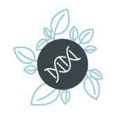 Hormonal Crosstalk in Plant Development