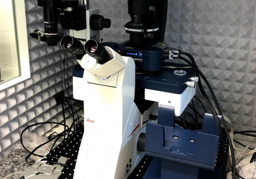 CF Nanobiotechnology has a new atomic force microscope