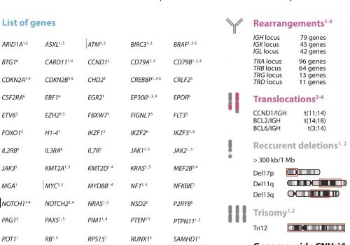 New versatile genetic test for lymphoid neoplasms supports personalized management of patients and further research