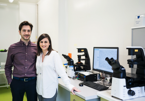 Together in Nature Communications. Italian couple succeed with research on the capture of nanoplastics by MXene microrobots