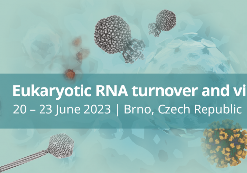 Registration for EMBO Workshop Eukaryotic RNA Turnover and Viral Biology is Now OPEN