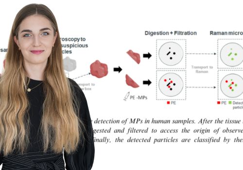 Microplastics in the body. The award-winning student's method will help to better identify them